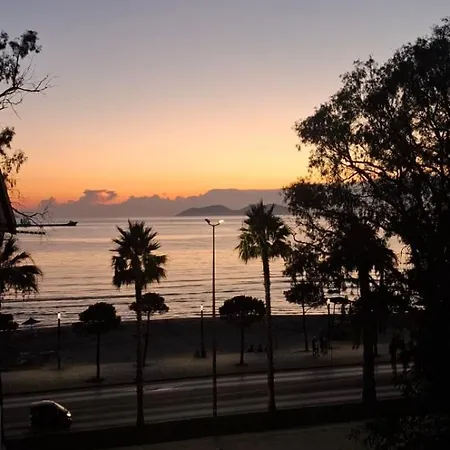 Beachfront 3 By Office