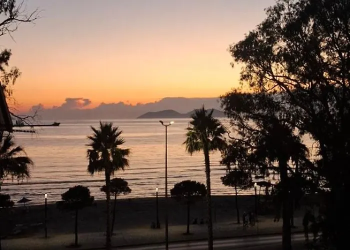 Beachfront 3 By Office